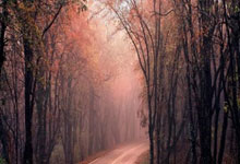 哪里能看葡萄牙vs列支敦士登的直播？这场比赛有哪些看点？